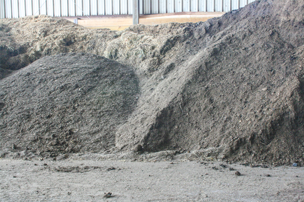 dried manure