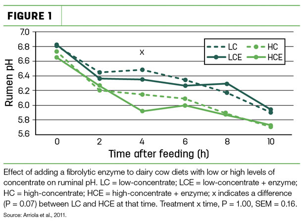 Time after feeding