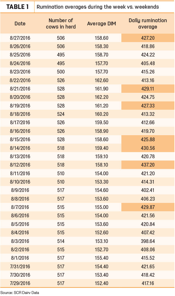 Rumination averages during the week bs. weekends