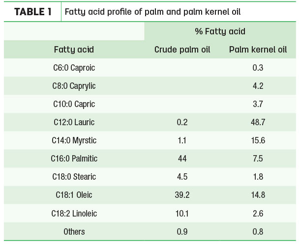 Versatile Dairy Fat Replacers: Unleashing the Potential of Palm Oil and Palm  Kernel Oil - WORLDCHEFS