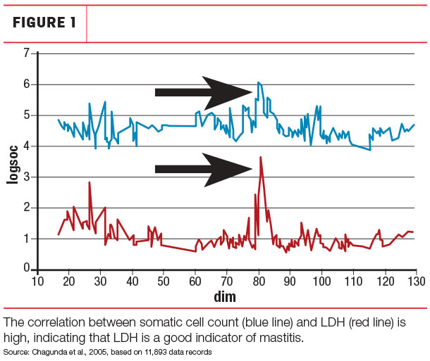 The correlation between somatic cell count and LDH is high