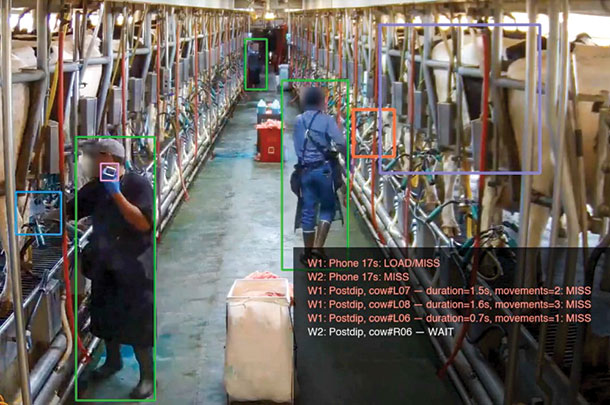 Cattle Care uses machine vision technology
