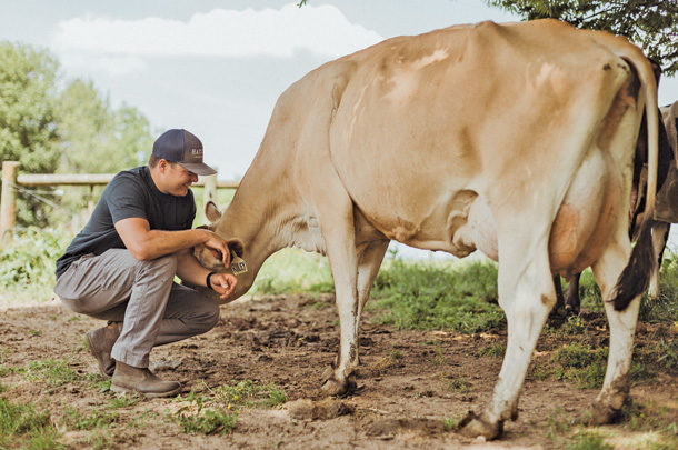 A streamlined juggling act: How Hatcher Family Dairy makes it all work ...