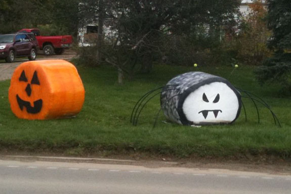 Jessica Peters pumpkin and spider hay bales
