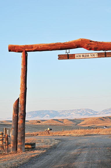 Leep Hay & Grain gate