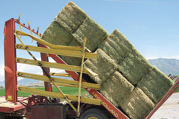 Self-propelled stacker