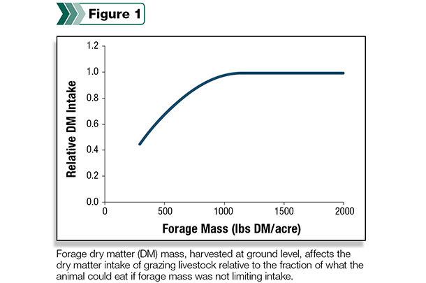 Forage mass