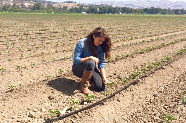 Irrigation engineer shop