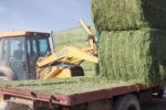 Loading  big bales onto a trailer