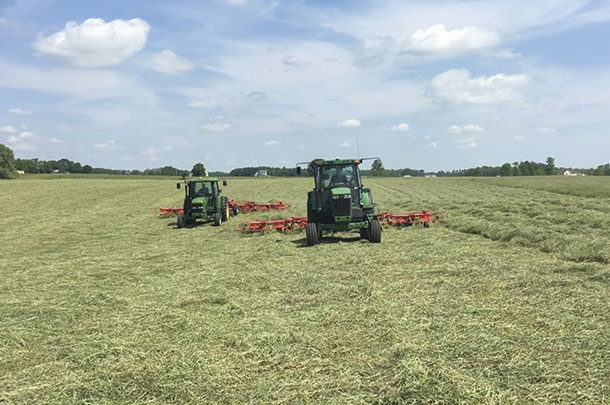 Growing, Harvesting, and Baling Hay: A Complete Guide