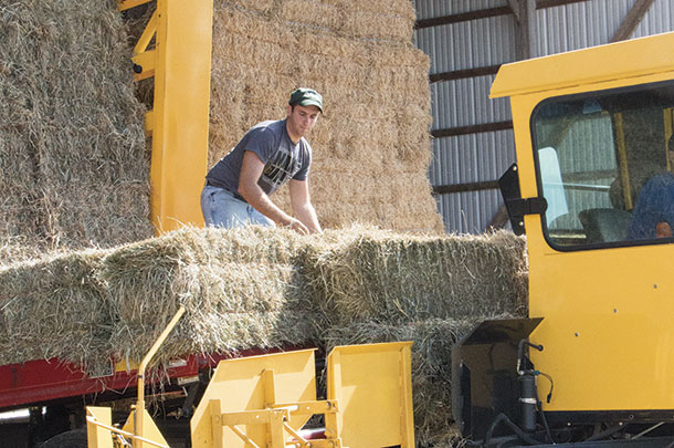 Stacking hay