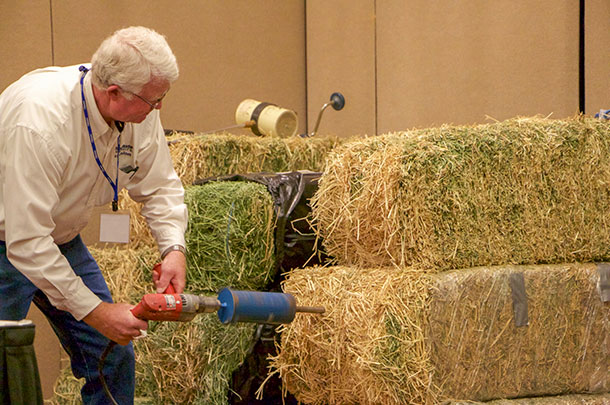 Jody Gale demonstrating taking a hay sample