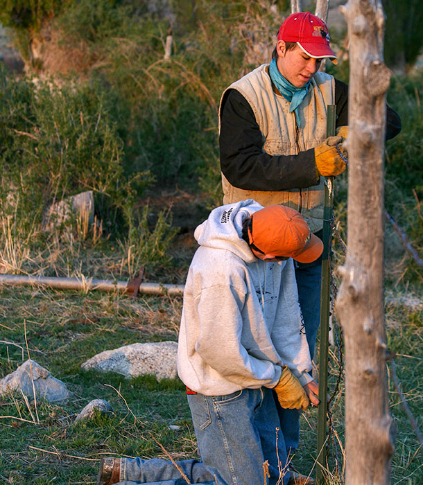 Marchant boys at work