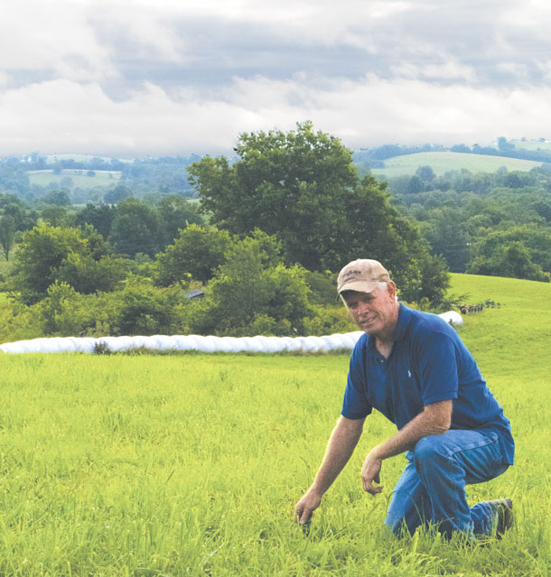 Ronnie Cooper examines an alfalfa-orchardgrass stand