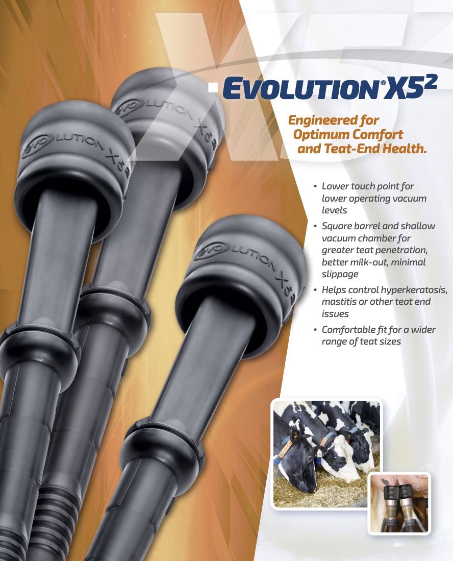 Evolution-X5Squared.jpg