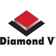 Diamondvlogo vert 240x240px